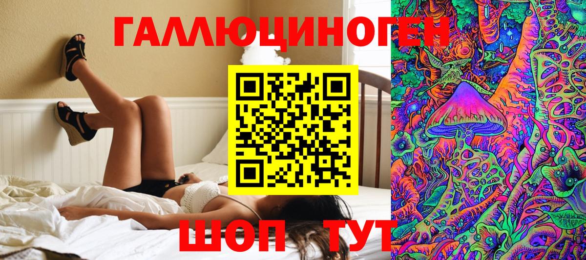 дарнет шоп  Псилоцибиновые грибы ЛСД  Вход с VPN  Нальчик  Галлюциногенные грибы мухоморы 