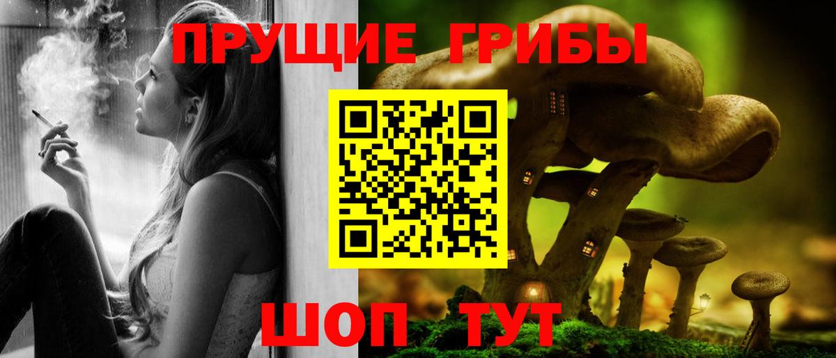 Псилоцибиновые грибы мицелий Нальчик