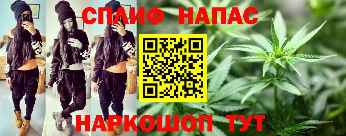 Каннабис гибрид  Вход с VPN  Канабис индика  Бошки марихуана семена  Нальчик 